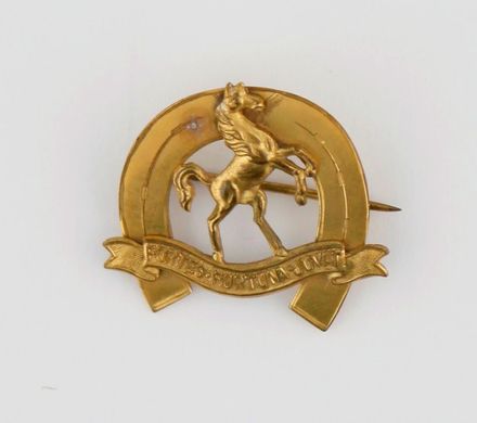 9th (Wellington East Coast) Squadron Pin