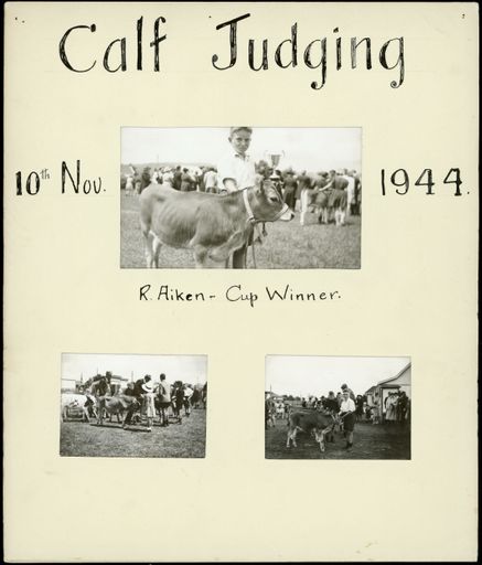 Ashhurst School, Calf Judging, R. Aiken - Cupper Winner