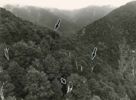 Skyhawk crash in Ruahine Ranges
