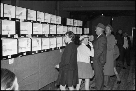 Annual Cage Bird Show - Resource cover image