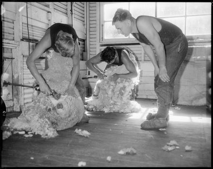 "Shearing the Flocks of Flock House" - Resource cover image