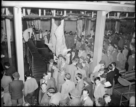 "Demonstration of Chiller Beef Killing."