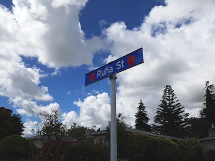 Ruha Street Sign with poppy