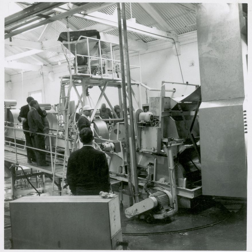 Berry Engineering Machinery - Setting up Cheese Factory