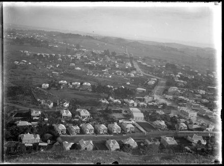 View From Hill in Auckland