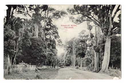 Postcard - Awahuri Bush, Feilding - Resource cover image