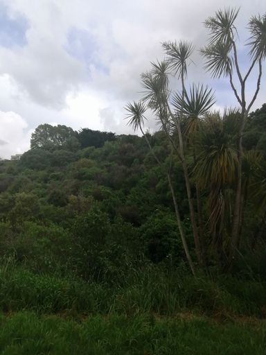 Green Corridors, Summerhill
