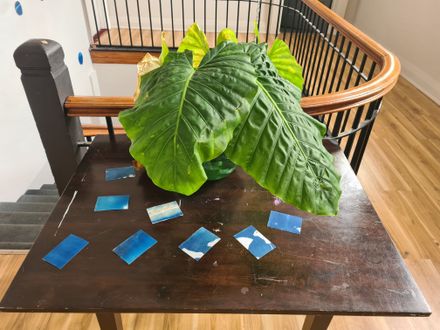 Art Exhibition at Snails Run Artist Space