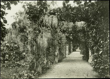 Pergola, Esplanade - Resource cover image