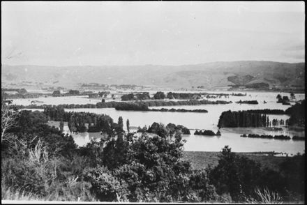 Tait - Jamieson Homestead and Cowshed Under Water