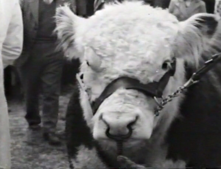 Public Information Film - Royal Show
