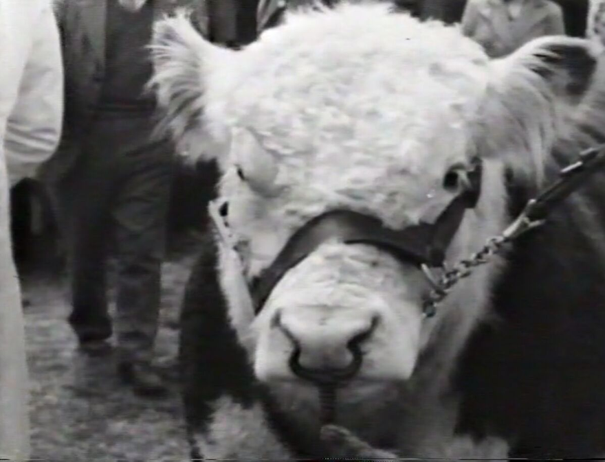 Public Information Film - Royal Show - Resource cover image