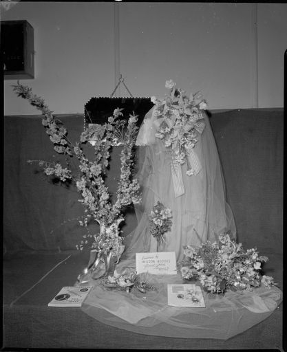 Wilson and Hodges Floral Display - Resource cover image