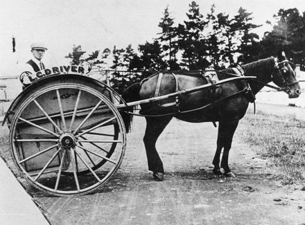 Mr L C Driver's milk delivery float, Summerhays Street