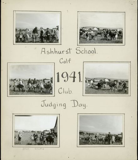 Ashhurst School, Calf Club Judging Day