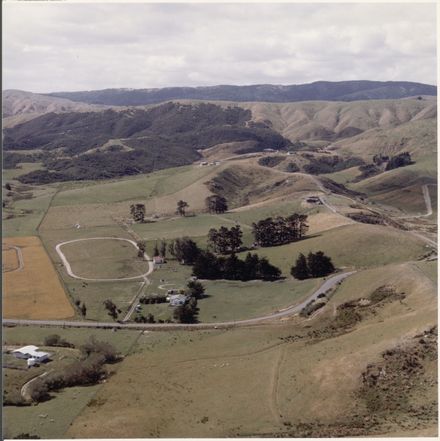 Aerial Photograph of Turitea