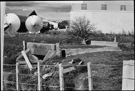 Whakarongo 'Bridge to Nowhere'