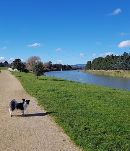 Olive standing by Manawatū River