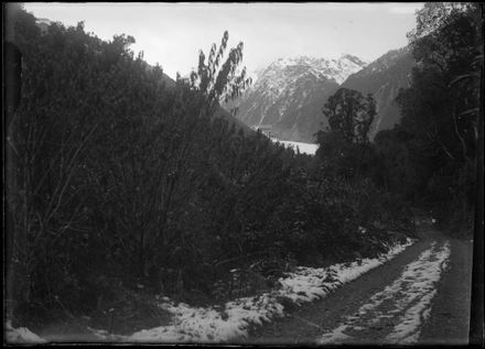 Franz Josef Glacier - Resource cover image