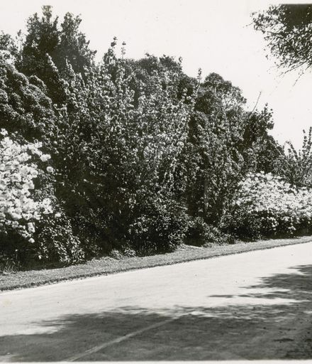 Scenes from Palmeston North, c1936 4