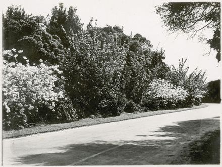 Scenes from Palmeston North, c1936 4