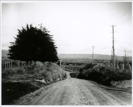 Roberts Line - Te Matai Road - Resource cover image
