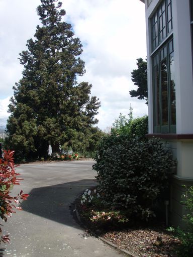 "Waimarama", 46 Alfred Street