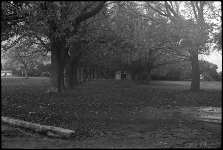 Unidentified Park