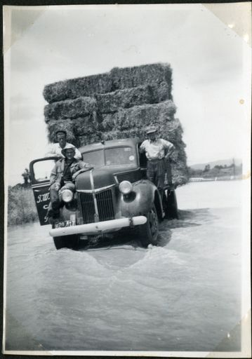 Men rescuing hay bales, Rangiotu