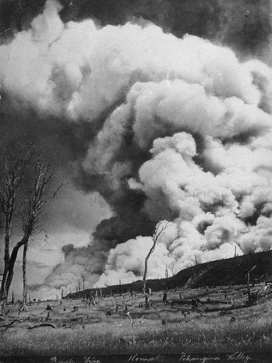 A bush fire in Pohangina Valley