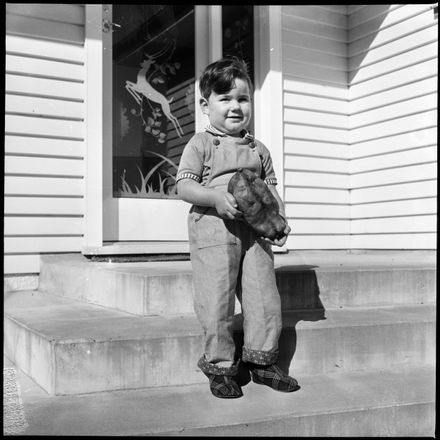 "Big Boy, Big Kumera"