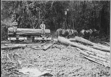 Transporting a Log by Tram Through the Bush at Waituna West