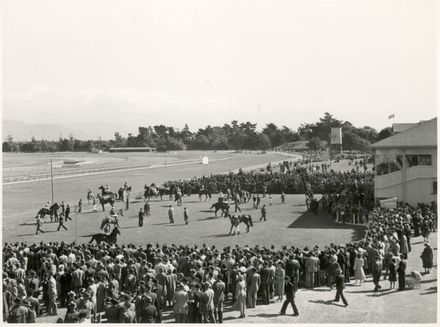 Parading of Horses, Awapuni Racecourse