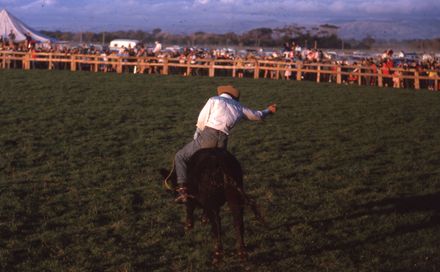 Linton Rodeo