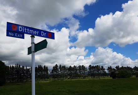 Dittmer Drive Sign with poppy
