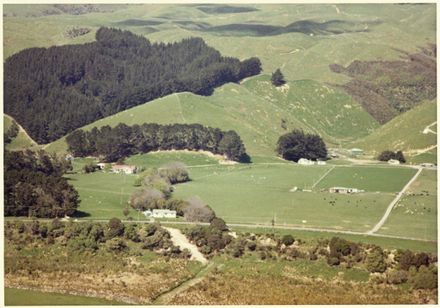 Aerial Photograph of Turitea - Resource cover image