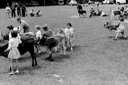 Newbury School Calf Club Day