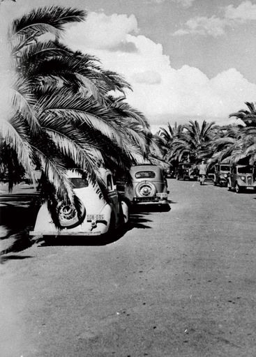 Phoenix Palms, Victoria Esplanade