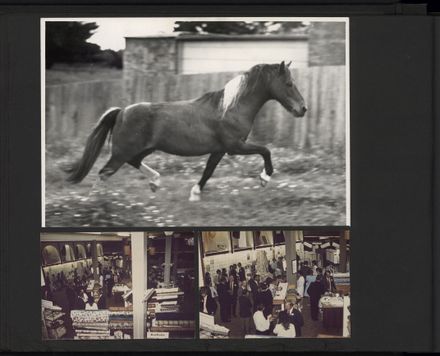 Alexander Clark Photograph Album - page 8