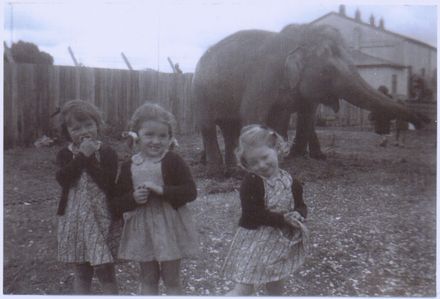 Catherine Collis and cousins at the Circus, Main Street