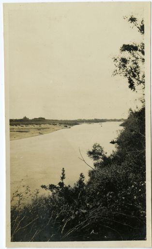View of the Manawatu River