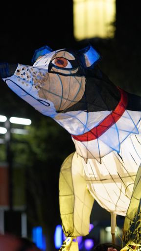 Festival of Cultures Lantern Parade 2018