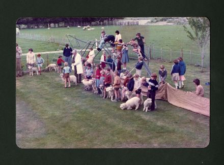 Lamb, Calf and Kid Day, Aokautere School