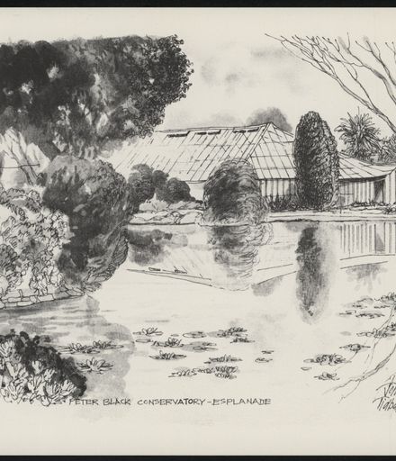 Palmerston North: A Portfolio of Six Sketches 7