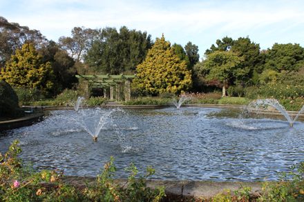 The Rose Garden in June