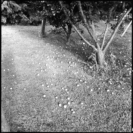 Aftermath of Yesterday's Gale