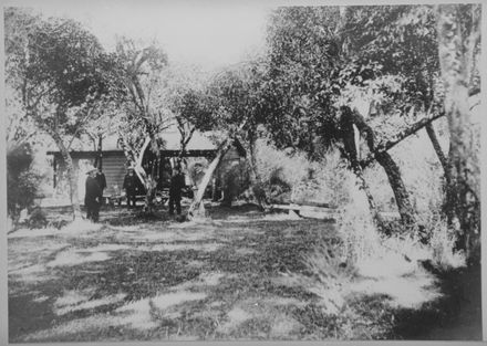 Shelter shed at the Ashhurst Domain - Resource cover image