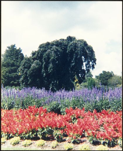 Flower bed in the Esplanade