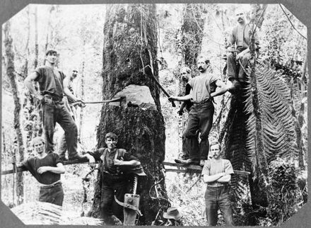 Bush Felling Team, Apiti District
