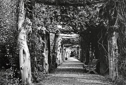 Pergola, Victoria Esplanade